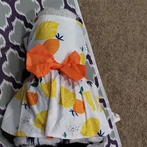 Fruit Print Dog Dress with Orange Bow